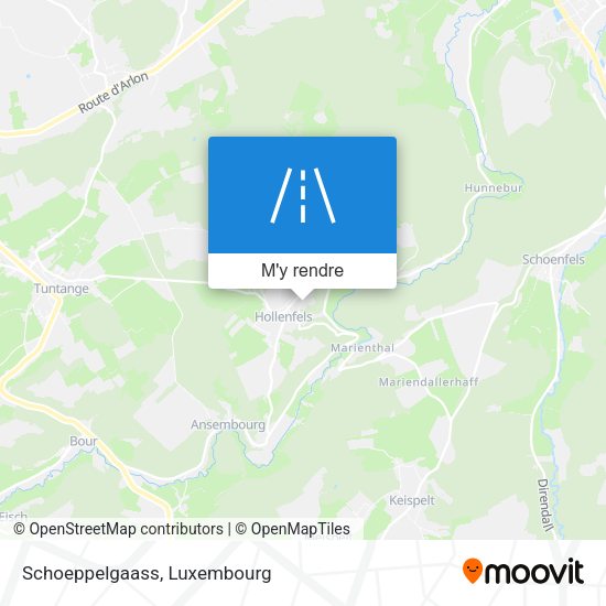 Schoeppelgaass plan