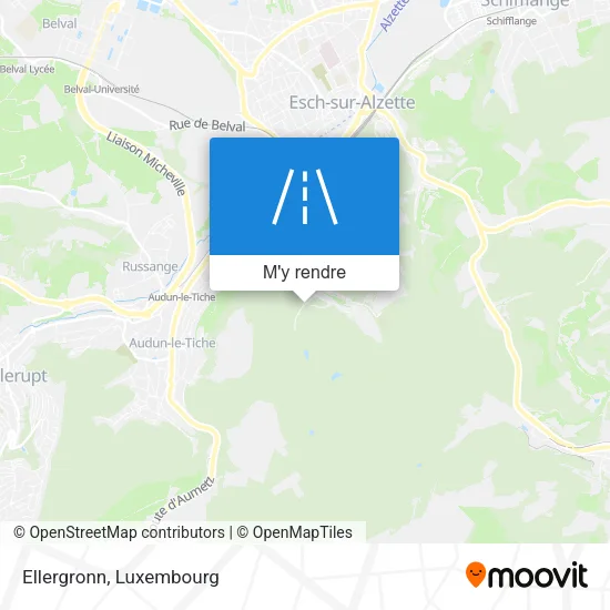 Ellergronn plan