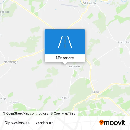 Rippwelerwee plan