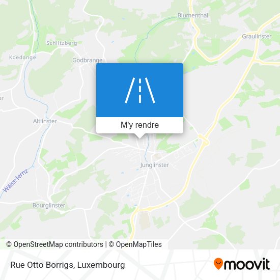 Rue Otto Borrigs plan