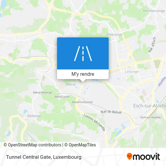 Tunnel Central Gate plan