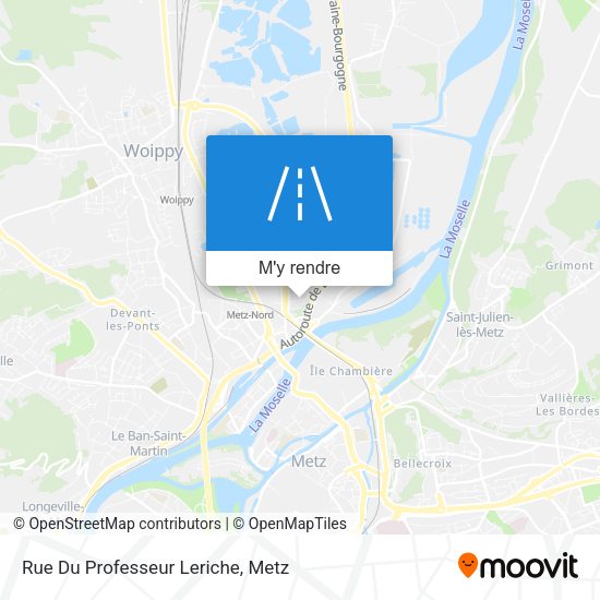 Rue Du Professeur Leriche plan