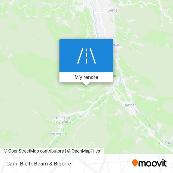 Cami Bielh plan