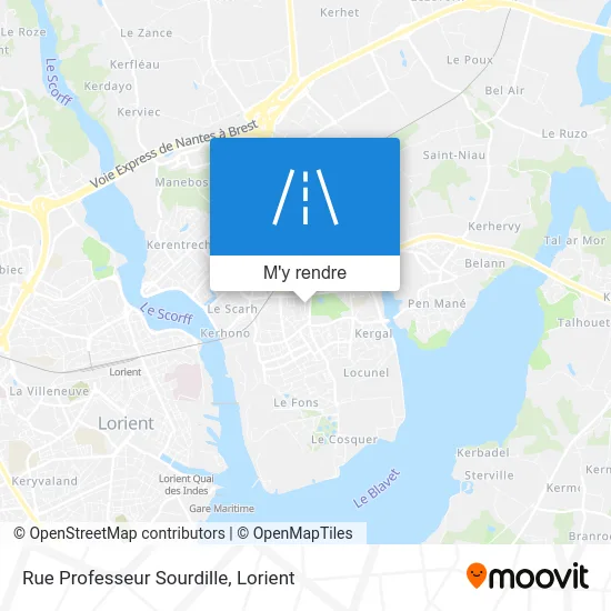 Rue Professeur Sourdille plan