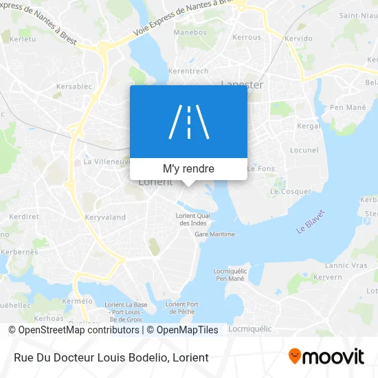 Rue Du Docteur Louis Bodelio plan