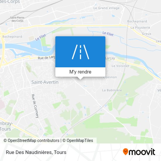 Rue Des Naudinières plan