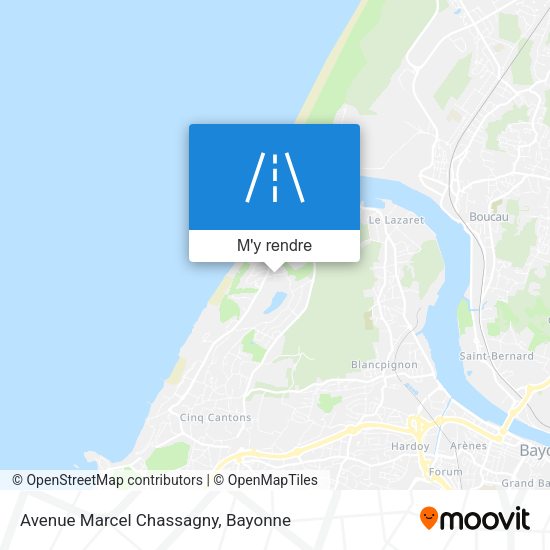 Avenue Marcel Chassagny plan