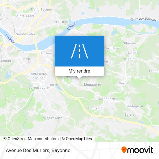 Avenue Des Mûriers plan