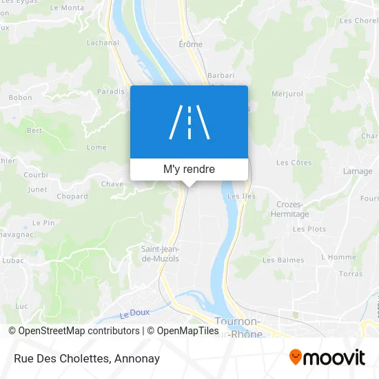 Rue Des Cholettes plan