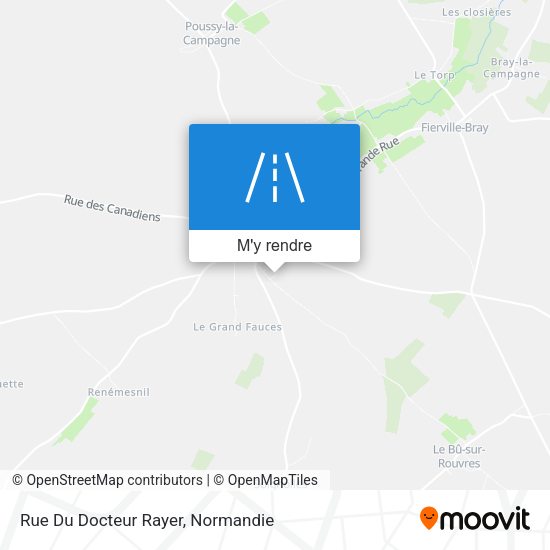 Rue Du Docteur Rayer plan