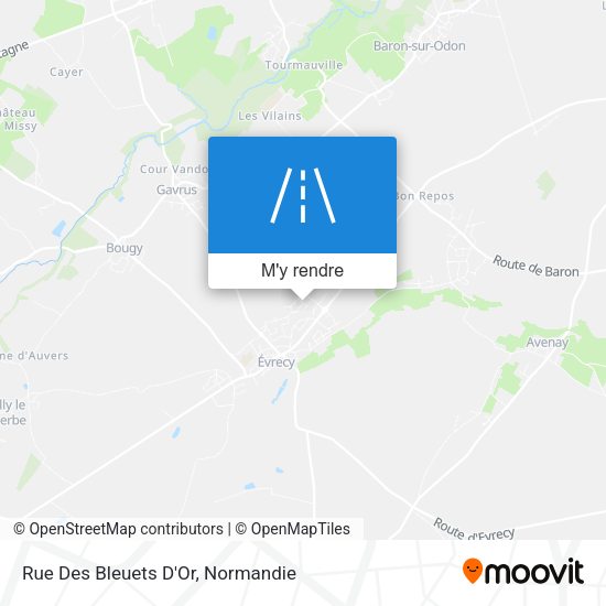 Rue Des Bleuets D'Or plan