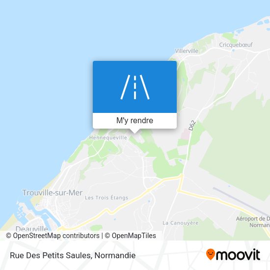 Rue Des Petits Saules plan