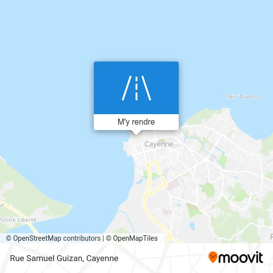 Rue Samuel Guizan plan