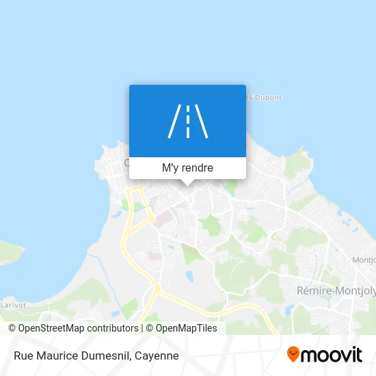 Rue Maurice Dumesnil plan