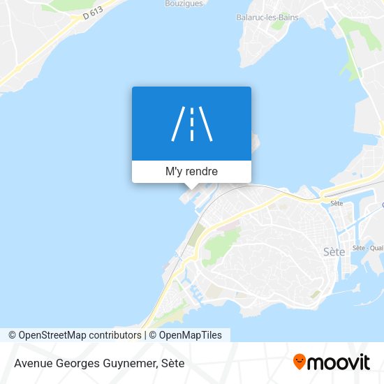 Avenue Georges Guynemer plan