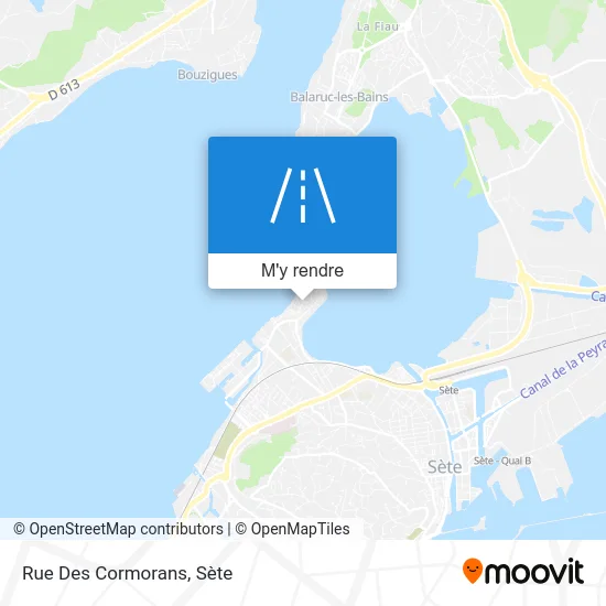 Rue Des Cormorans plan