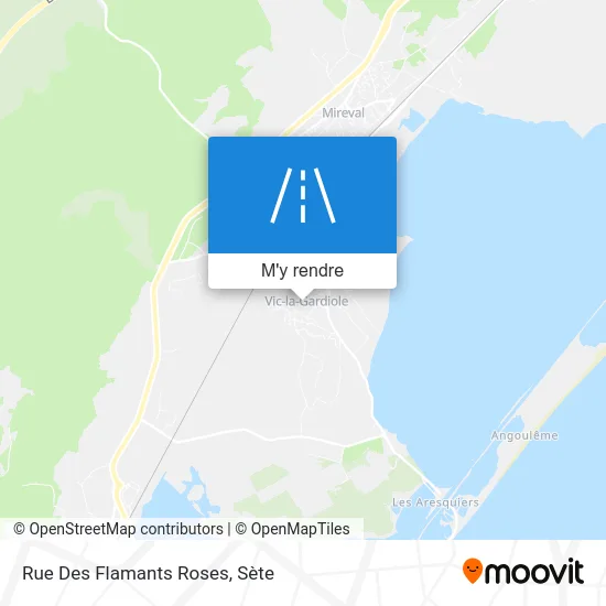 Rue Des Flamants Roses plan