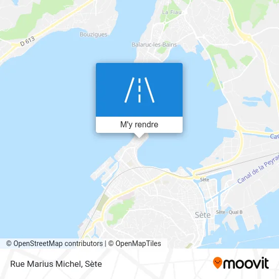 Rue Marius Michel plan