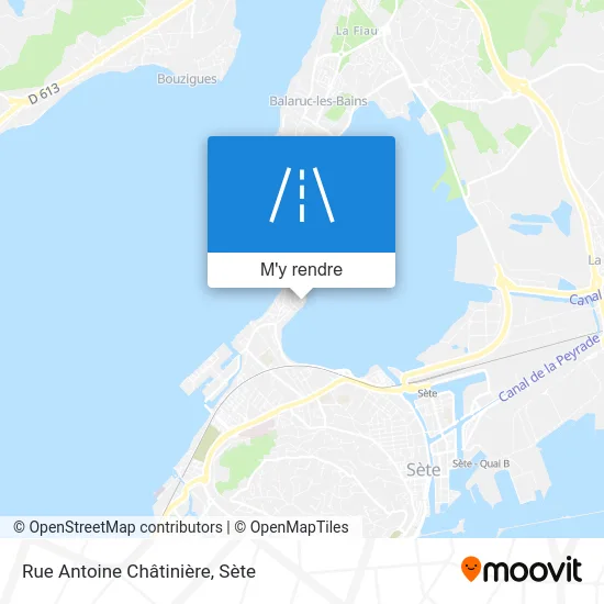 Rue Antoine Châtinière plan