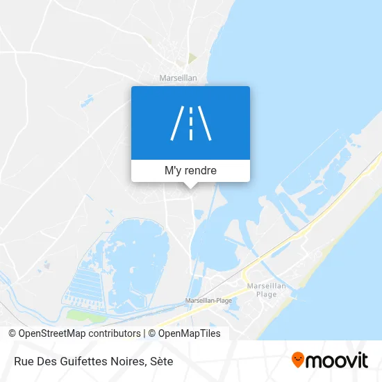 Rue Des Guifettes Noires plan