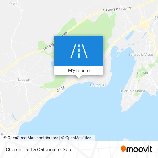 Chemin De La Catonnière plan