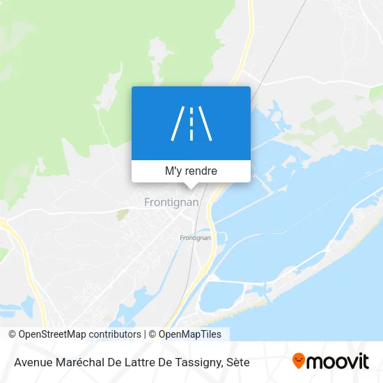 Avenue Maréchal De Lattre De Tassigny plan