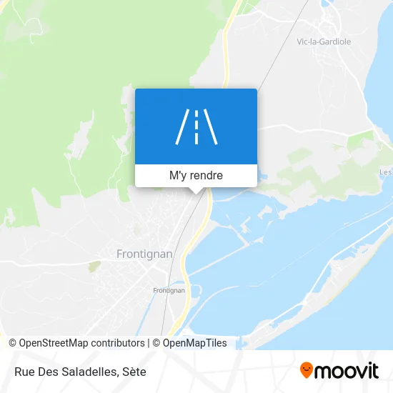 Rue Des Saladelles plan