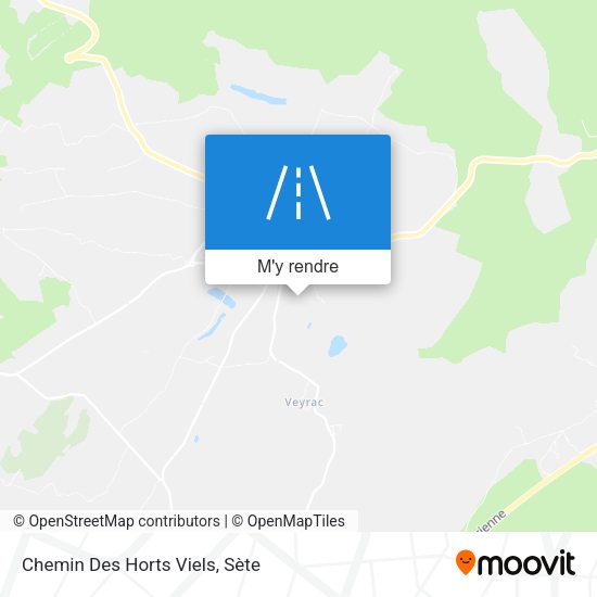 Chemin Des Horts Viels plan