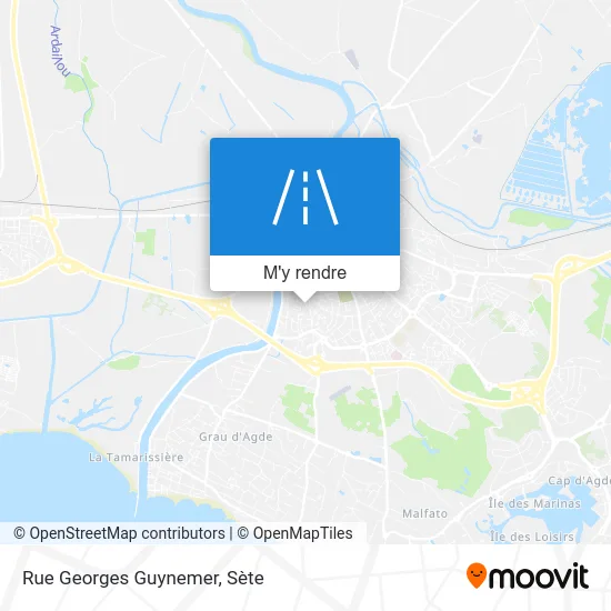 Rue Georges Guynemer plan