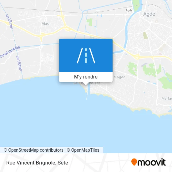 Rue Vincent Brignole plan