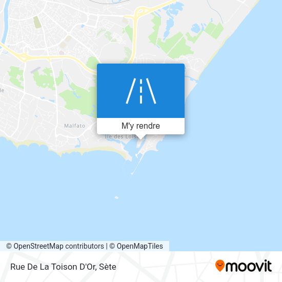 Rue De La Toison D'Or plan