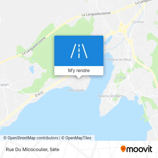 Rue Du Micocoulier plan