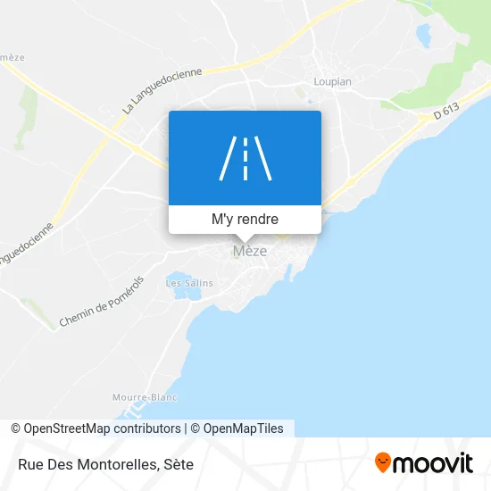 Rue Des Montorelles plan