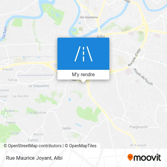 Rue Maurice Joyant plan