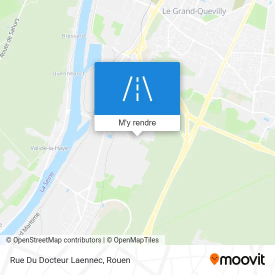 Rue Du Docteur Laennec plan