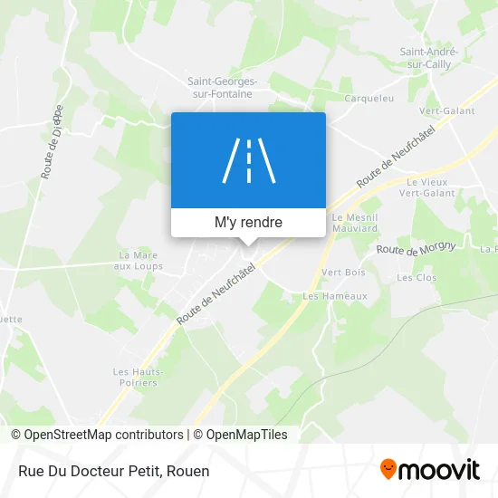 Rue Du Docteur Petit plan