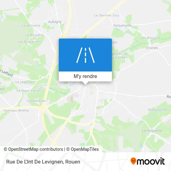 Rue De L'Int De Levignen plan
