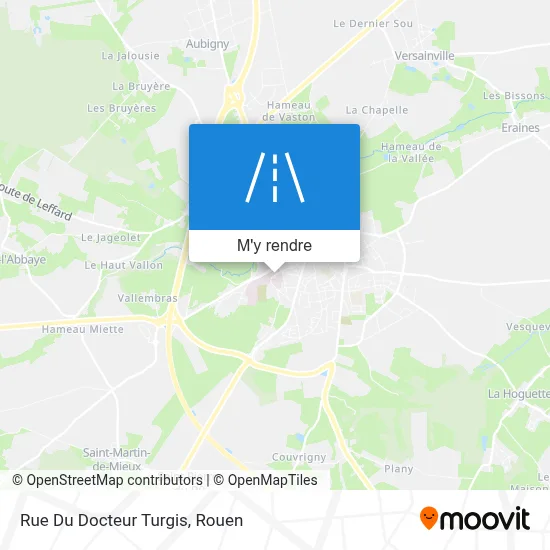 Rue Du Docteur Turgis plan