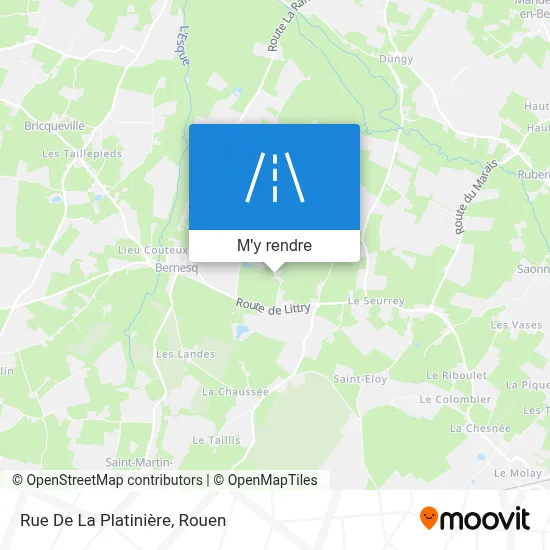Rue De La Platinière plan