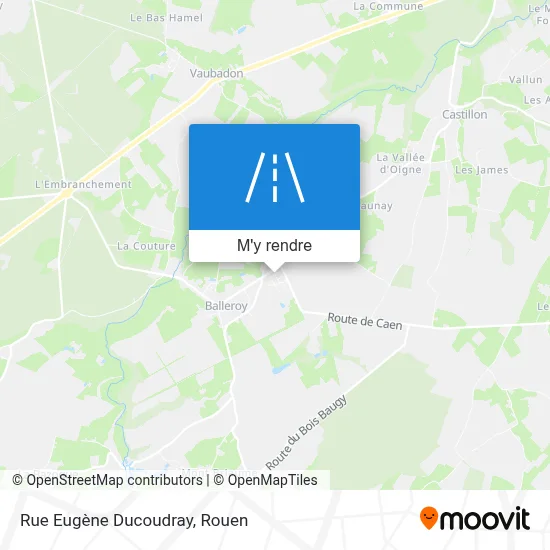 Rue Eugène Ducoudray plan