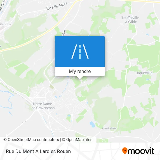Rue Du Mont À Lardier plan