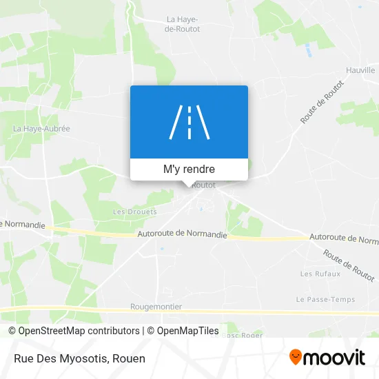 Rue Des Myosotis plan