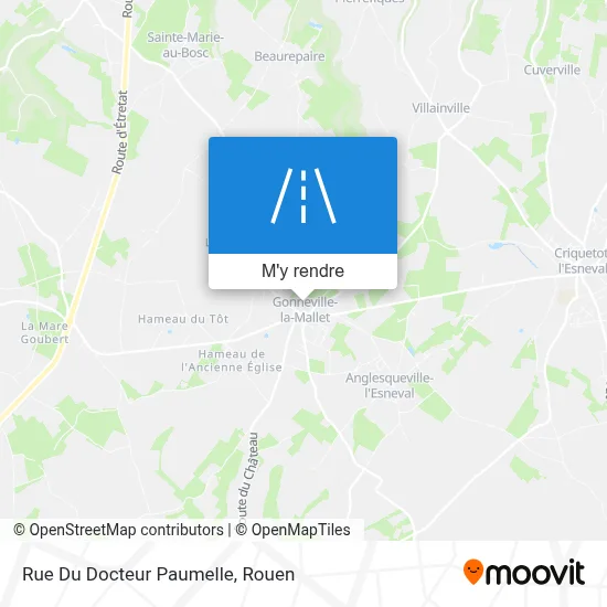 Rue Du Docteur Paumelle plan