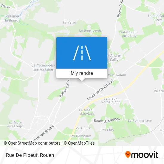 Rue De Pibeuf plan