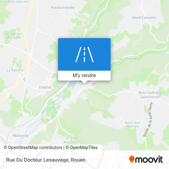 Rue Du Docteur Lesauvage plan