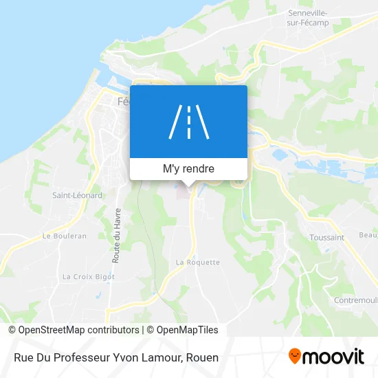 Rue Du Professeur Yvon Lamour plan