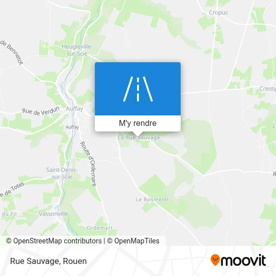 Rue Sauvage plan