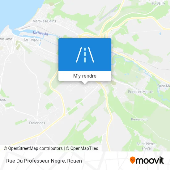 Rue Du Professeur Negre plan