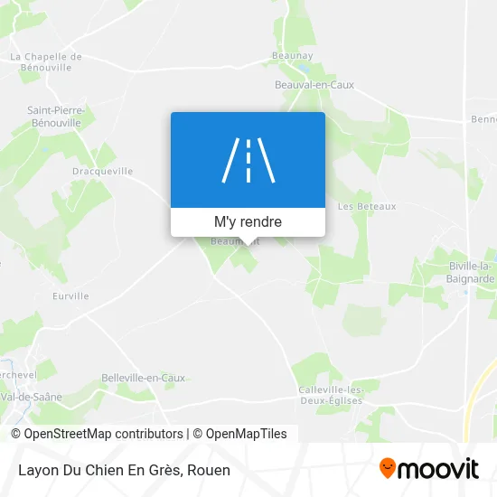 Layon Du Chien En Grès plan