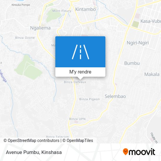 Avenue Pumbu plan
